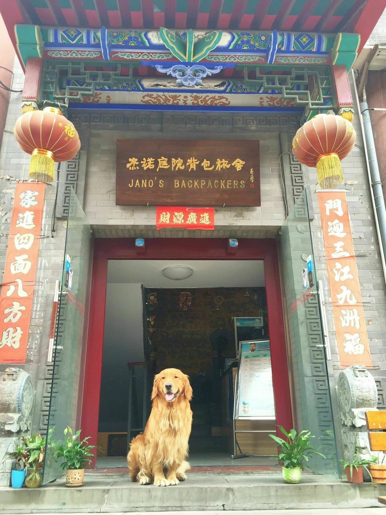 Jano'S Backpackers Xi'An Vandrarhem Xi'an  Exteriör bild